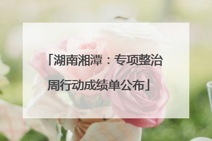 湖南湘潭：专项整治周行动成绩单公布