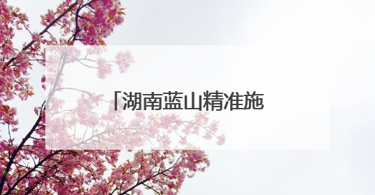 湖南蓝山精准施策促就业 毕业生“沉浸式”探岗