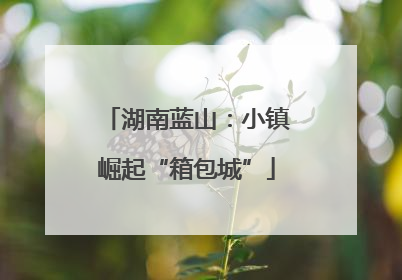 湖南蓝山：小镇崛起“箱包城”