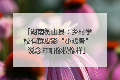 湖南衡山县：乡村学校有群皮影“小戏骨” 说念打唱像模像样