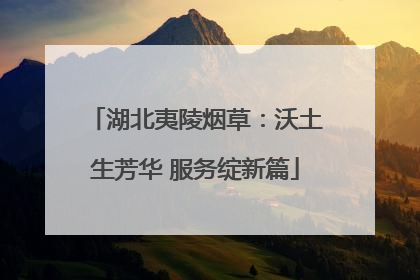 湖北夷陵烟草：沃土生芳华 服务绽新篇