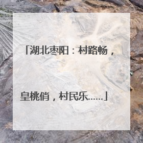 湖北枣阳：村路畅，皇桃俏，村民乐……