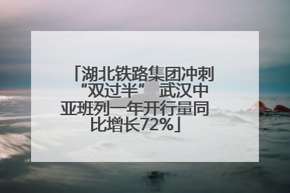 湖北铁路集团冲刺“双过半” 武汉中亚班列一年开行量同比增长72%