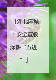 湖北麻城：安全宣教深耕“五进”