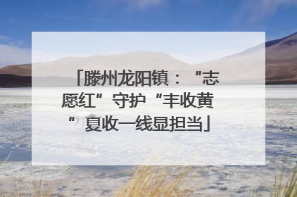 滕州龙阳镇：“志愿红”守护“丰收黄”夏收一线显担当