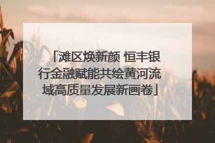滩区焕新颜 恒丰银行金融赋能共绘黄河流域高质量发展新画卷