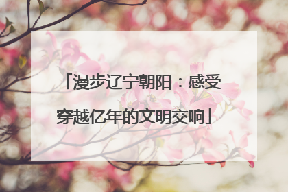 漫步辽宁朝阳：感受穿越亿年的文明交响