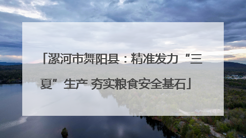 漯河市舞阳县：精准发力“三夏”生产 夯实粮食安全基石