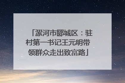 漯河市郾城区：驻村第一书记王元明带领群众走出致富路
