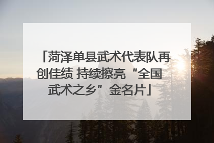 菏泽单县武术代表队再创佳绩 持续擦亮“全国武术之乡”金名片