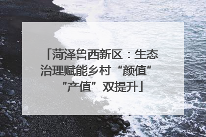 菏泽鲁西新区：生态治理赋能乡村“颜值”“产值”双提升
