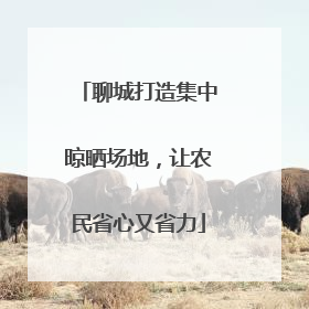 聊城打造集中晾晒场地，让农民省心又省力
