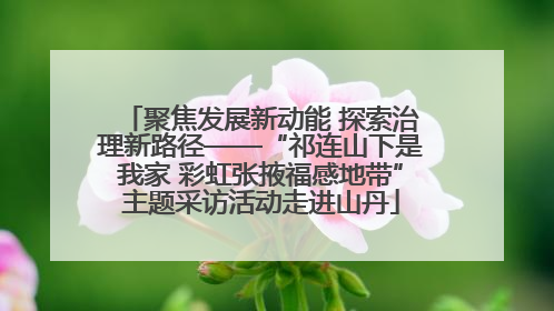 聚焦发展新动能 探索治理新路径——“祁连山下是我家 彩虹张掖福感地带”主题采访活动走进山丹