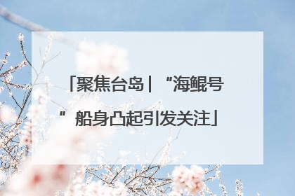 聚焦台岛│“海鲲号”船身凸起引发关注