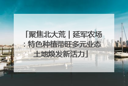 聚焦北大荒｜延军农场：特色种植带旺多元业态 土地焕发新活力