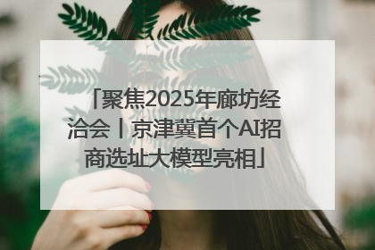 聚焦2025年廊坊经洽会丨京津冀首个AI招商选址大模型亮相