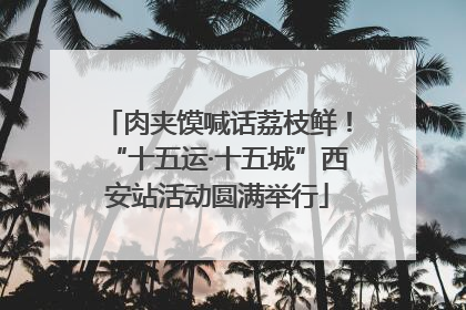 肉夹馍喊话荔枝鲜！“十五运·十五城”西安站活动圆满举行