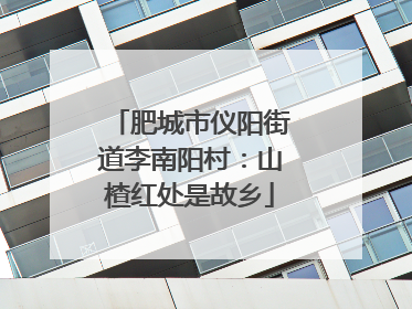 肥城市仪阳街道李南阳村：山楂红处是故乡