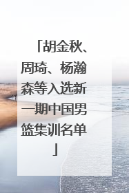胡金秋、周琦、杨瀚森等入选新一期中国男篮集训名单