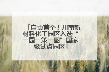 自贡首个！川南新材料化工园区入选“一园一策一图”国家级试点园区