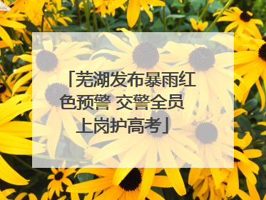 芜湖发布暴雨红色预警 交警全员上岗护高考