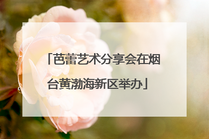 芭蕾艺术分享会在烟台黄渤海新区举办