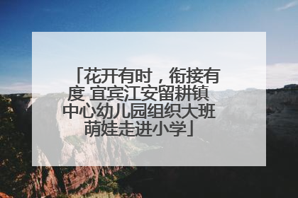 花开有时，衔接有度 宜宾江安留耕镇中心幼儿园组织大班萌娃走进小学