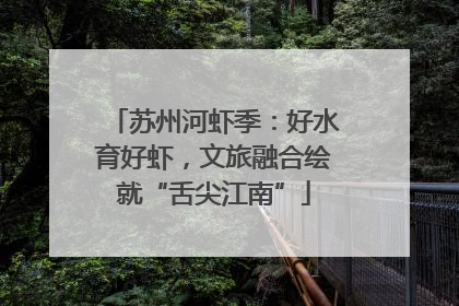 苏州河虾季：好水育好虾，文旅融合绘就“舌尖江南”