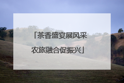 茶香盛宴展风采 农旅融合促振兴