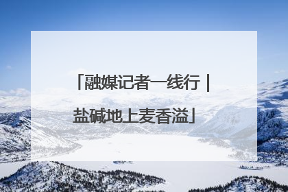 融媒记者一线行｜盐碱地上麦香溢