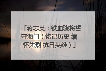 蒋志英：铁血骁将誓守海门（铭记历史 缅怀先烈·抗日英雄）