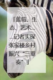 蓝莓、生态、艺术……记者实探张家楼乡村振兴“三重奏”