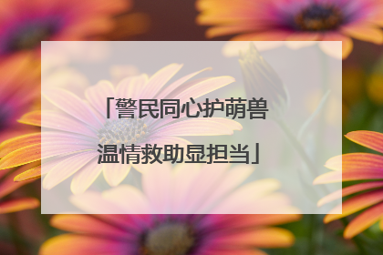 警民同心护萌兽 温情救助显担当