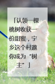 认领一棵桃树收获一份甜蜜，宁乡这个村邀你成为“树主”