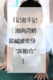 记者手记：渤海湾畔盐碱滩变身“新粮仓”