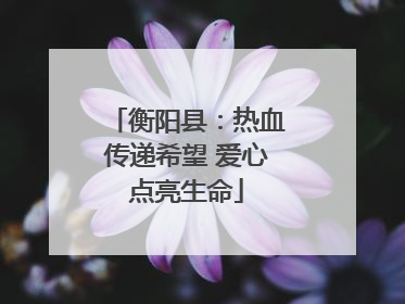 衡阳县：热血传递希望 爱心点亮生命
