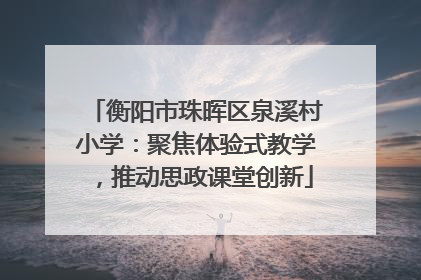 衡阳市珠晖区泉溪村小学：聚焦体验式教学，推动思政课堂创新
