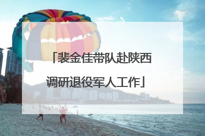 裴金佳带队赴陕西调研退役军人工作