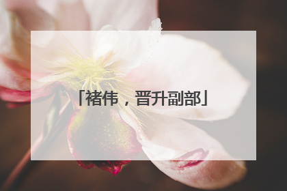 褚伟，晋升副部