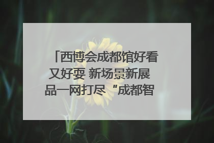 西博会成都馆好看又好耍 新场景新展品一网打尽“成都智造”｜西博视界