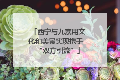 西宁与九寨用文化和美景实现携手“双方引流”