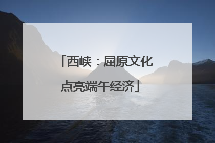 西峡：屈原文化点亮端午经济