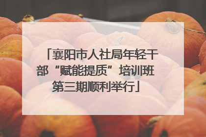 襄阳市人社局年轻干部“赋能提质”培训班第三期顺利举行