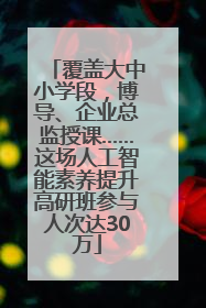 覆盖大中小学段，博导、企业总监授课……这场人工智能素养提升高研班参与人次达30万