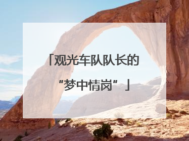 观光车队队长的“梦中情岗”