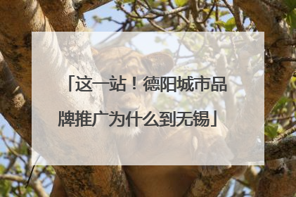 这一站！德阳城市品牌推广为什么到无锡