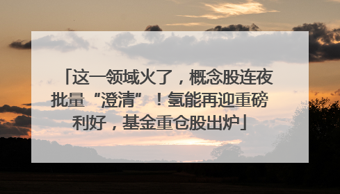 这一领域火了，概念股连夜批量“澄清”！氢能再迎重磅利好，基金重仓股出炉