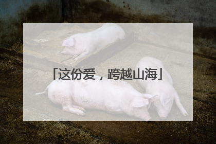这份爱，跨越山海
