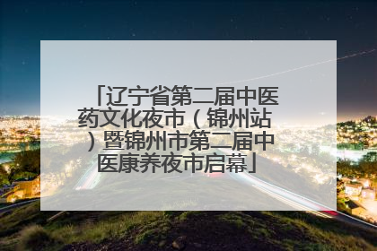 辽宁省第二届中医药文化夜市（锦州站）暨锦州市第二届中医康养夜市启幕