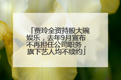 贾玲全资持股大碗娱乐，去年9月宣布不再担任公司职务，旗下艺人均不续约